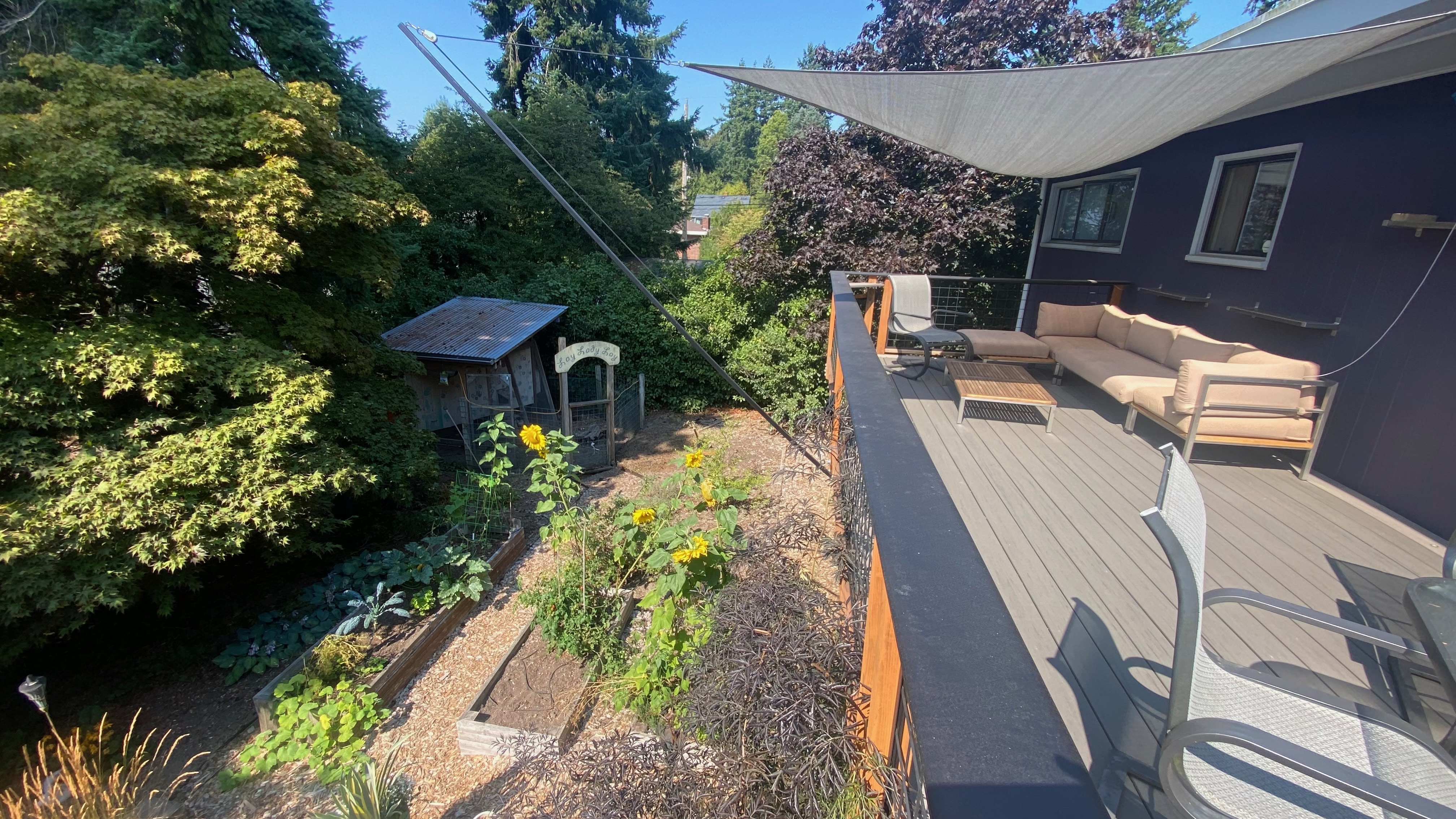 Backyard from Deck2.jpeg